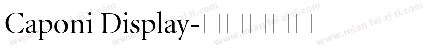 Caponi Display字体转换